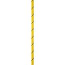 Petzl PARALLEL 10,5 mm halbstatisches Seil