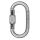 Aliens STAHL TOTAL OVAL Screwlock Karabiner - 25 kN +++SONDERPREIS+++