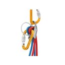 Petzl ATTACHE Screwlock Karabiner