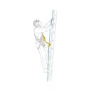 Petzl ASAP SORBER Falldämpfer in 20-40 cm
