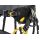 Petzl SEQUOIA PLUS Sitzgurt